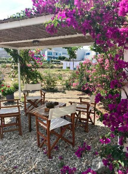 Katapola Vekris Apartments Εξωτερικό φωτογραφία